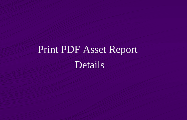 asset_print_report