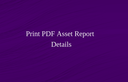 asset_print_report